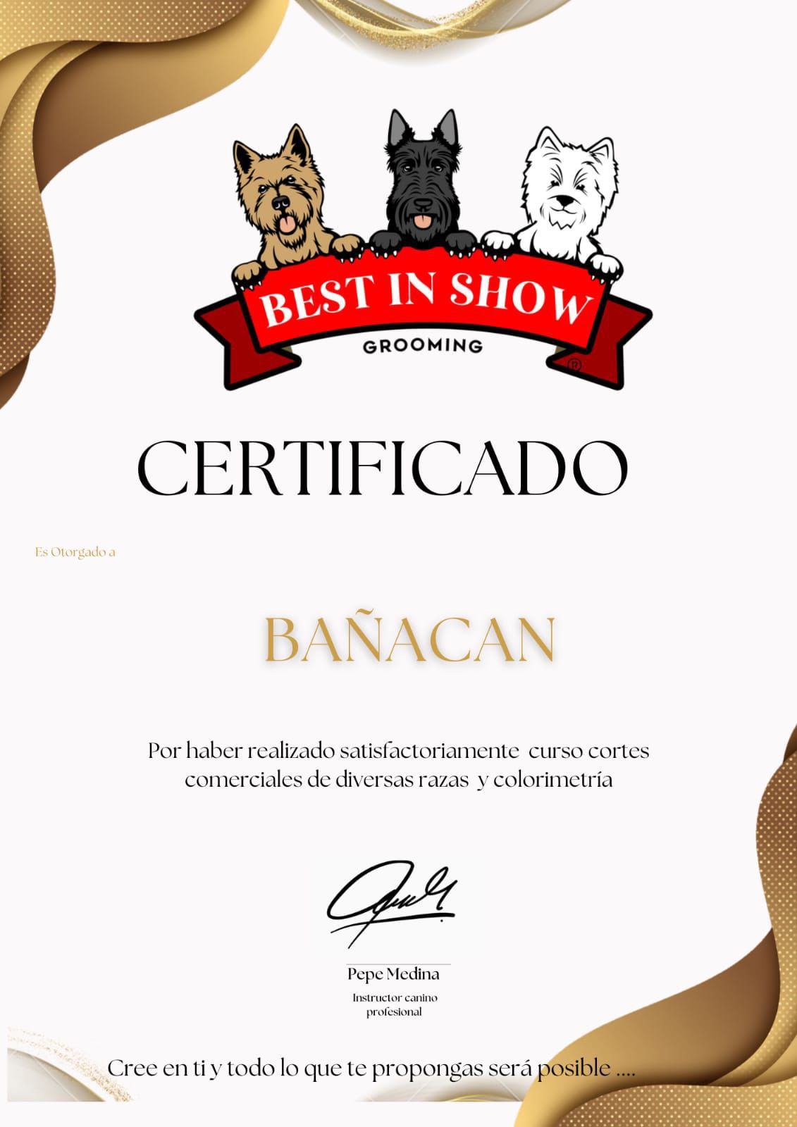 Certificado Profesional 1